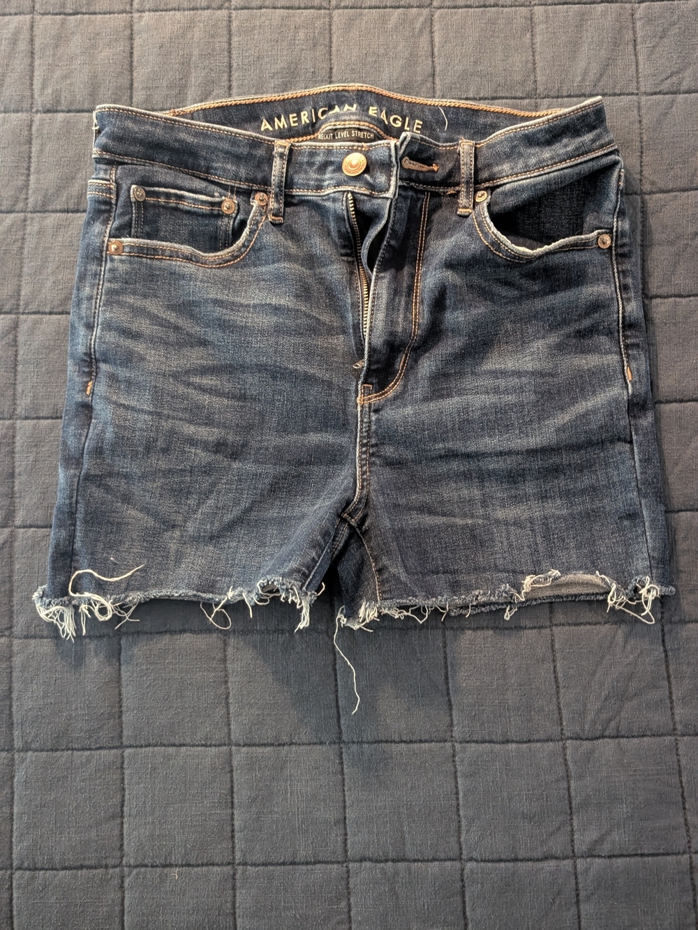 American Eagle Outfitters Dark Wash Distressed Denim Shorts